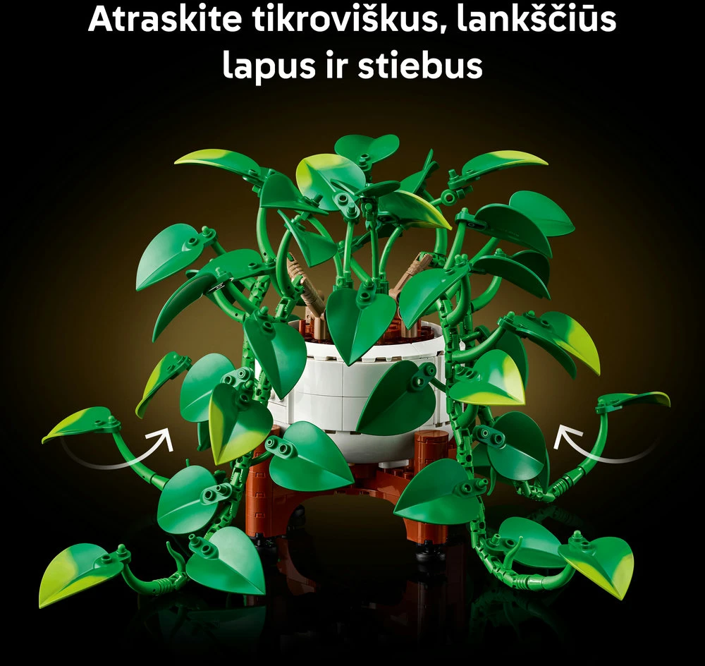 LEGO® Botanicals Svyrantis auksinis skindapas Rinkinys 11512