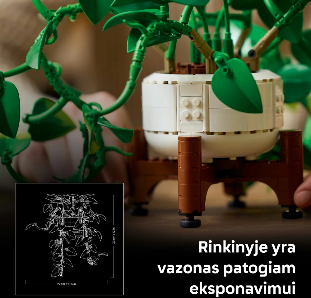 LEGO® Botanicals Svyrantis auksinis skindapas Rinkinys 11512