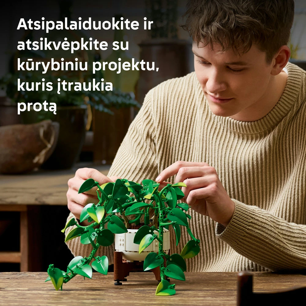LEGO® Botanicals Svyrantis auksinis skindapas Rinkinys 11512