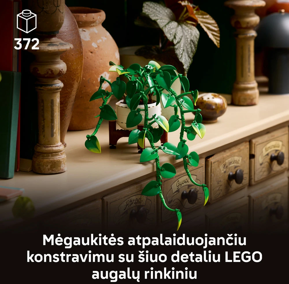 LEGO® Botanicals Svyrantis auksinis skindapas Rinkinys 11512