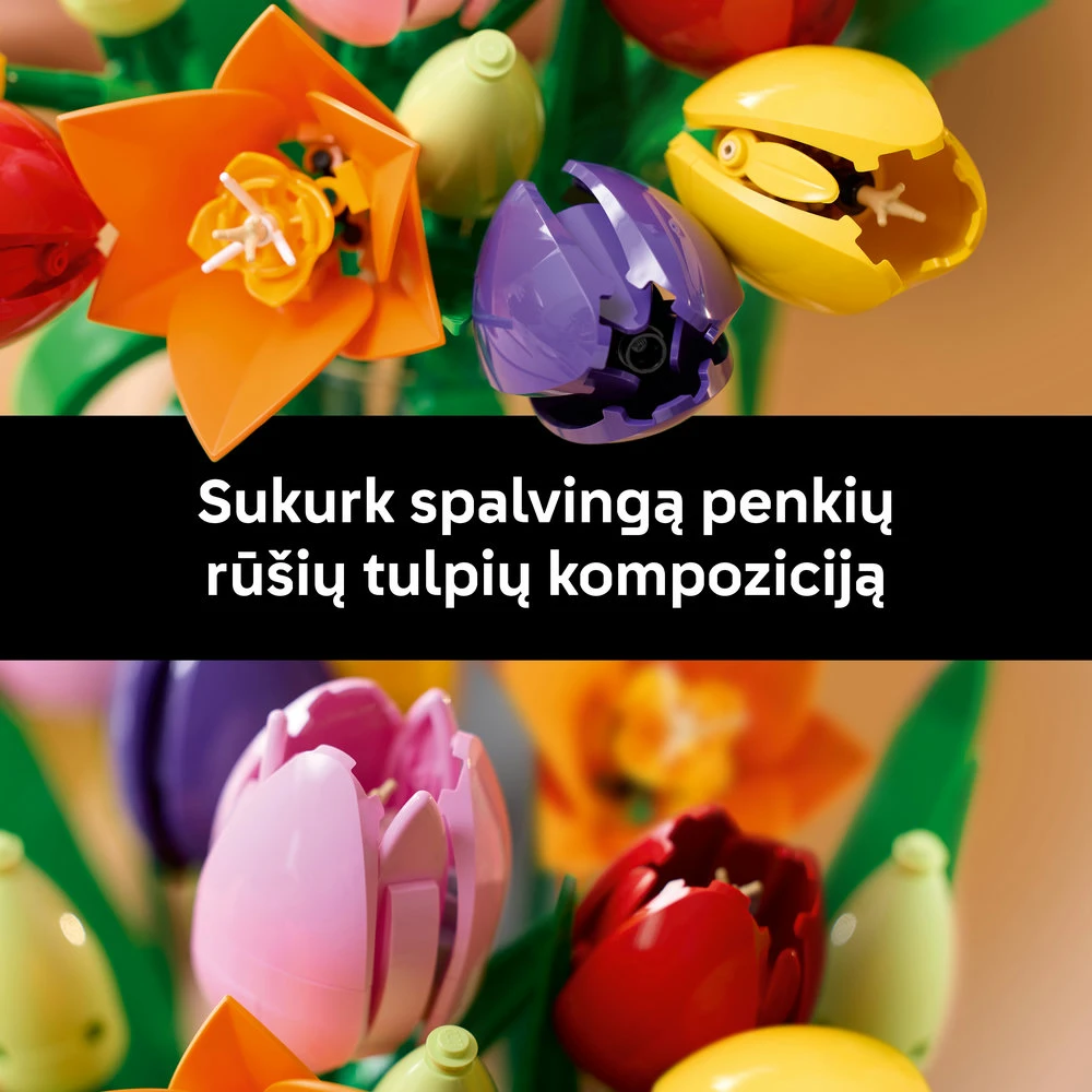 LEGO Botanicals Tulpių puokštė 11501