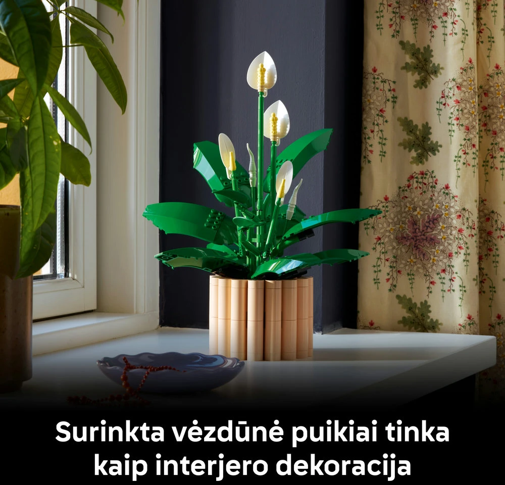 LEGO Botanicals Taikos lelija (Spathiphyllum) 11504