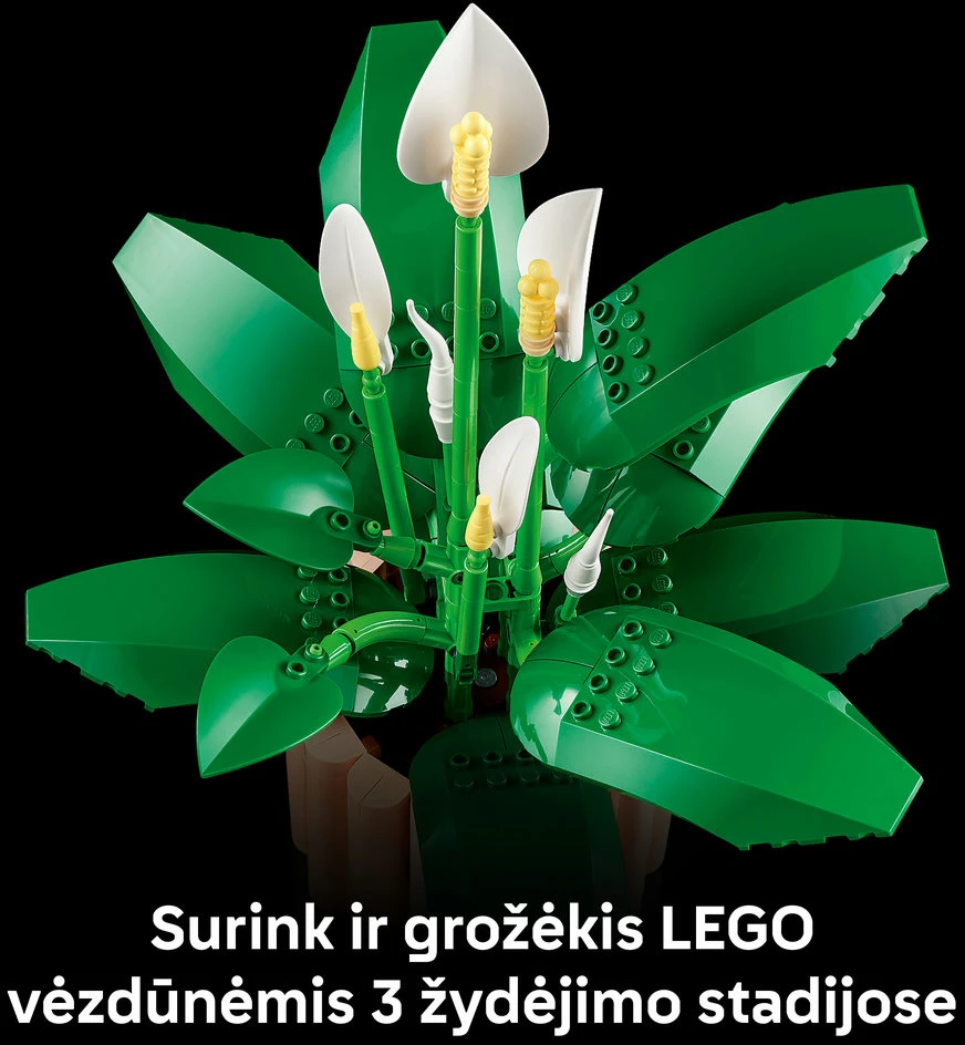 LEGO Botanicals Taikos lelija (Spathiphyllum) 11504