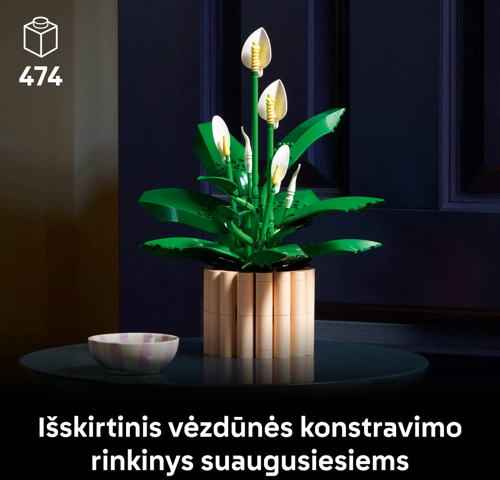 LEGO Botanicals Taikos lelija (Spathiphyllum) 11504