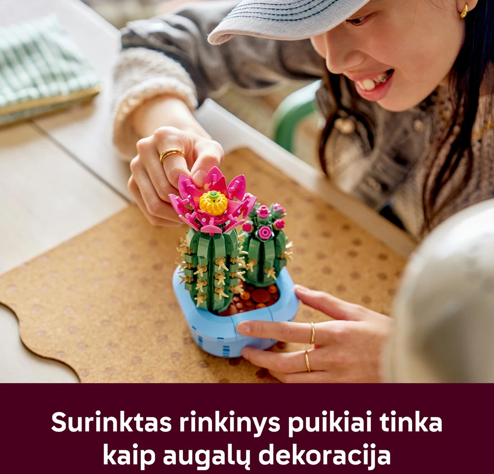 LEGO® Botanicals Žydintis kaktusas Augalų dekoras 11509