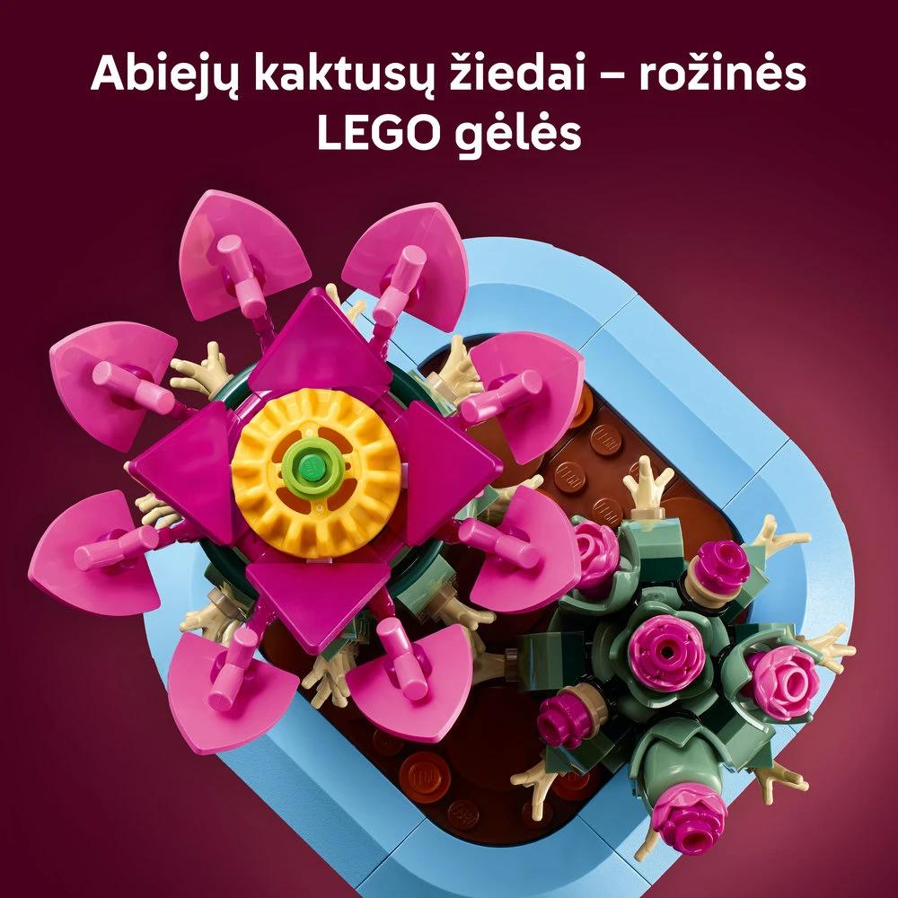 LEGO® Botanicals Žydintis kaktusas Augalų dekoras 11509