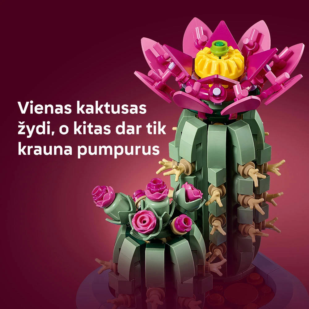 LEGO® Botanicals Žydintis kaktusas Augalų dekoras 11509