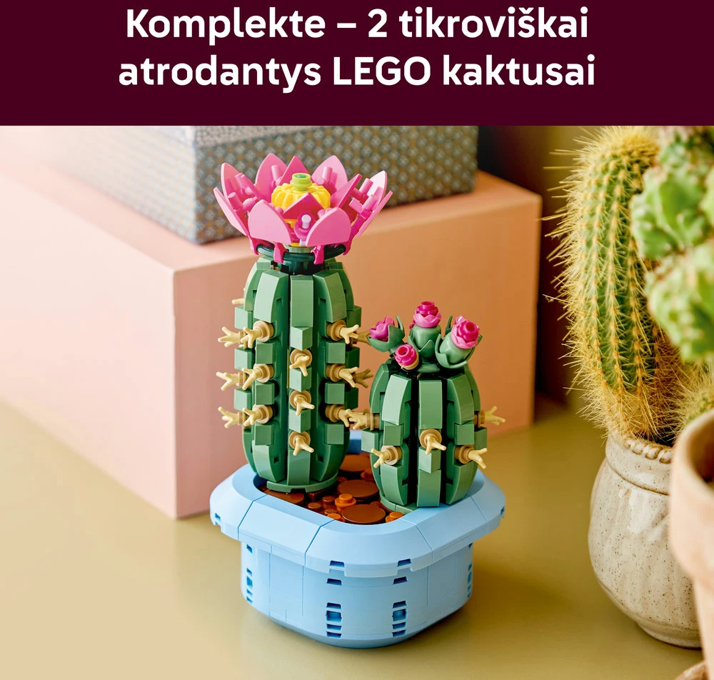 LEGO® Botanicals Žydintis kaktusas Augalų dekoras 11509