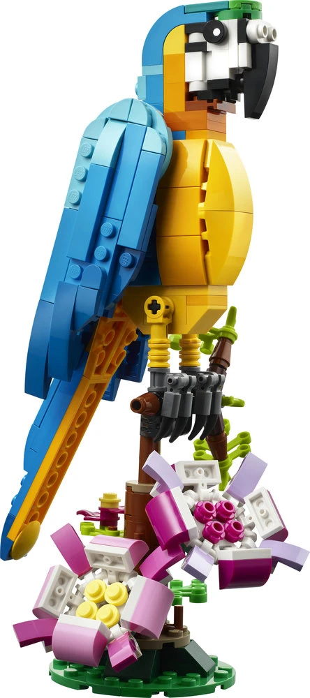 LEGO® Creator 3-in-1 Egzotiška papūga (31136)