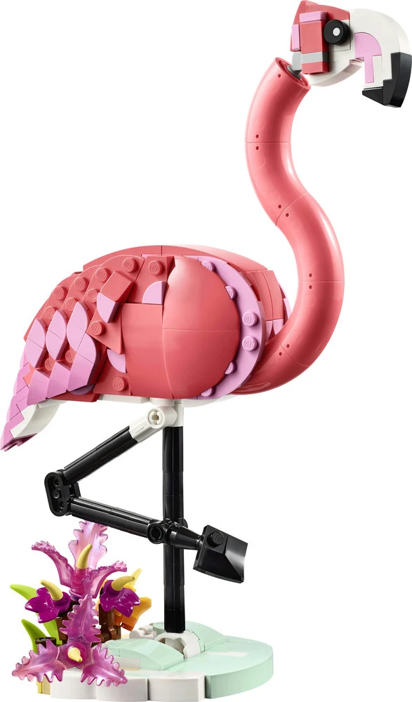 LEGO® Creator 3 v 1 Laukiniai gyvūnai: rožinis flamingas (31170)