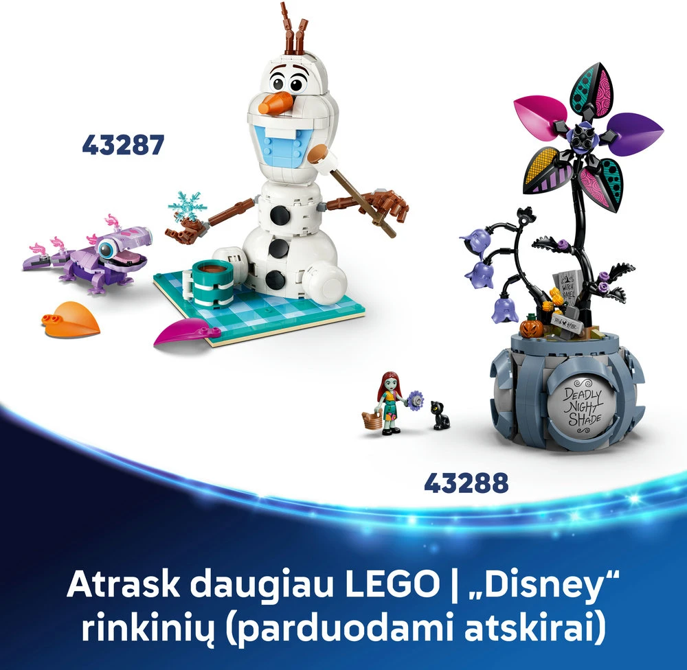 LEGO® Disney™ Kevinas ir Dagas, 43290