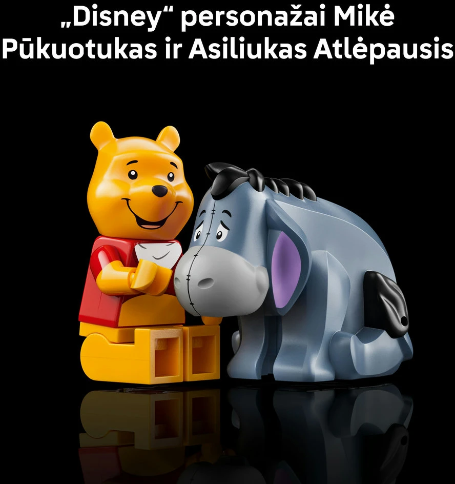 LEGO® Disney™ Mikė Pūkuotukas, 43300