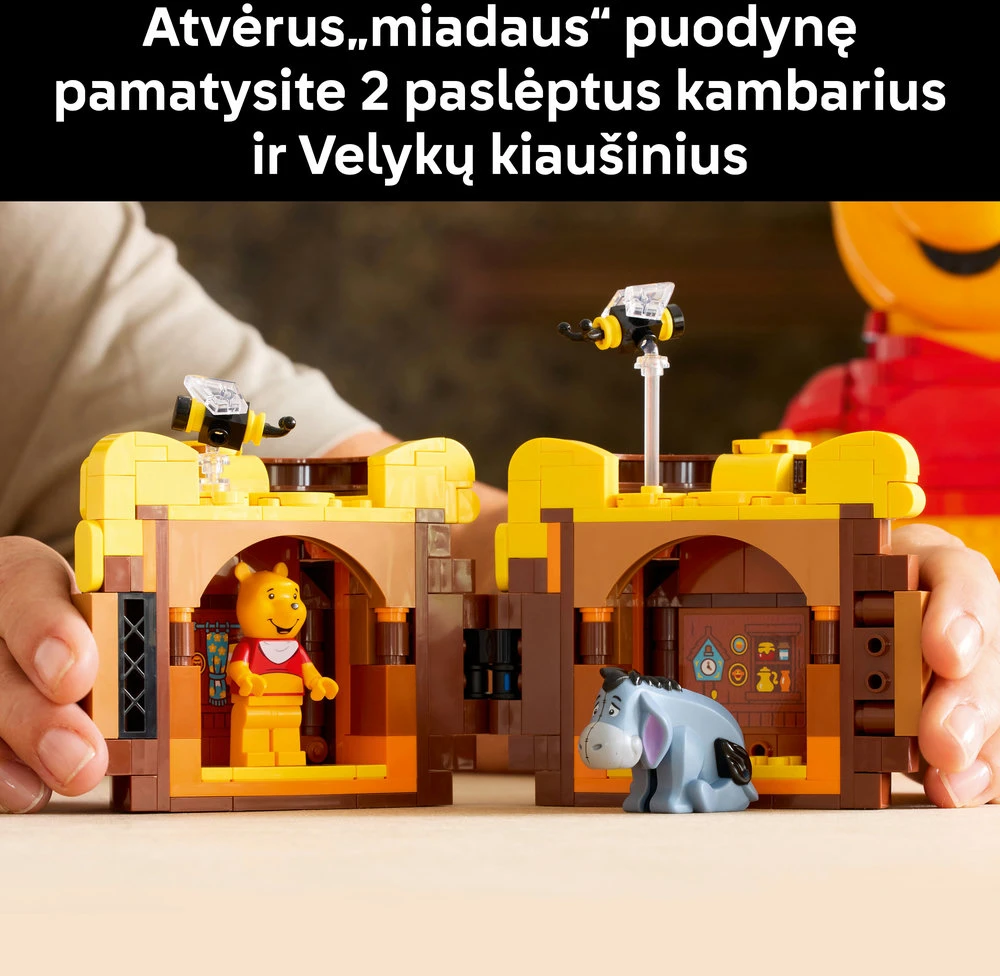 LEGO® Disney™ Mikė Pūkuotukas, 43300