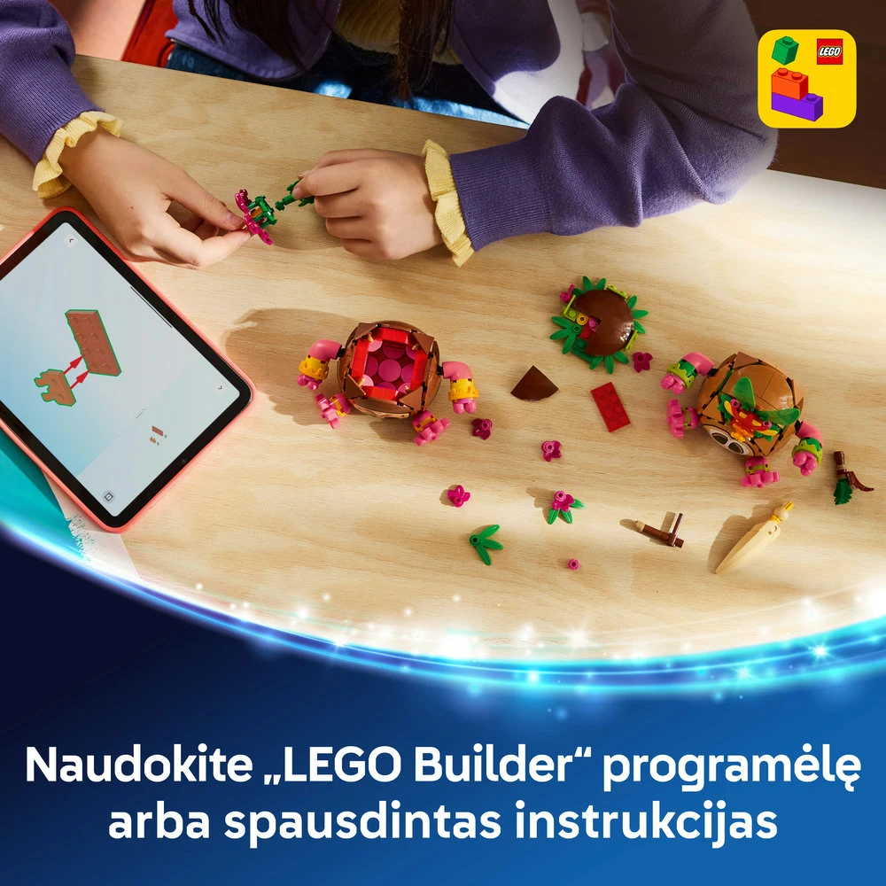 LEGO® | Disney Vajana Kakamoros Konstravimo žaislas 43293