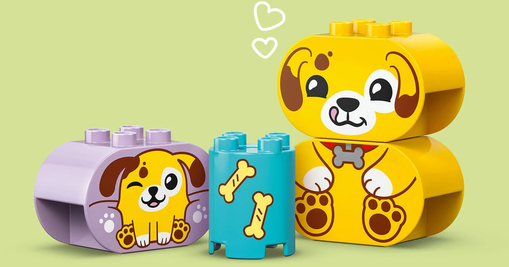 LEGO® DUPLO® Mano pirmasis formų rūšiavimo žaislas: šuniuko namas 10441