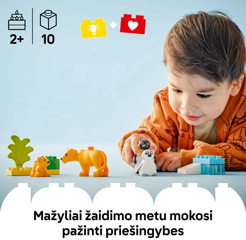 LEGO® DUPLO Laukinių gyvūnų šeimos: pingvinai ir liūtai (10442)