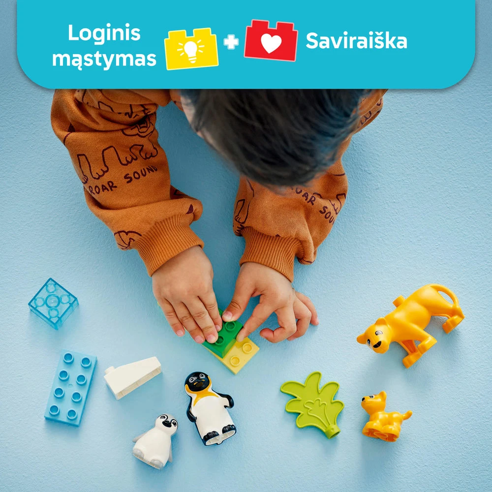 LEGO® DUPLO Laukinių gyvūnų šeimos: pingvinai ir liūtai (10442)
