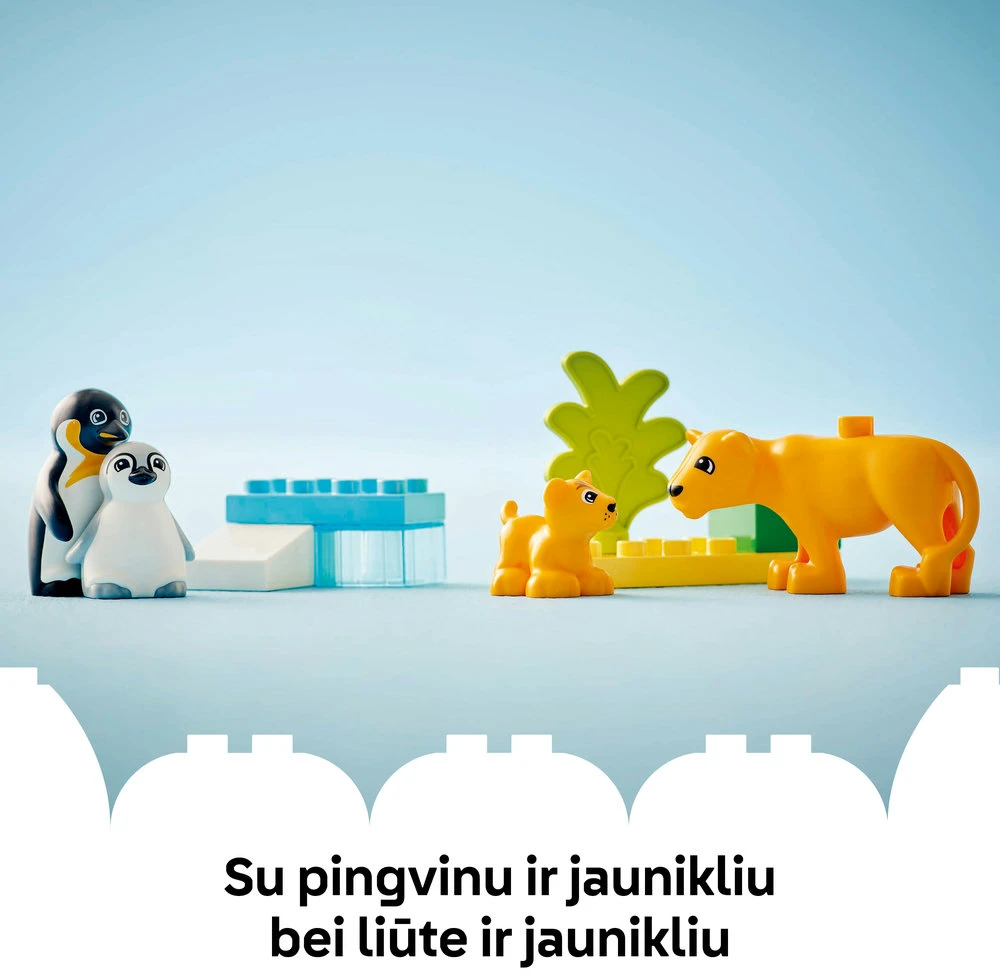 LEGO® DUPLO Laukinių gyvūnų šeimos: pingvinai ir liūtai (10442)