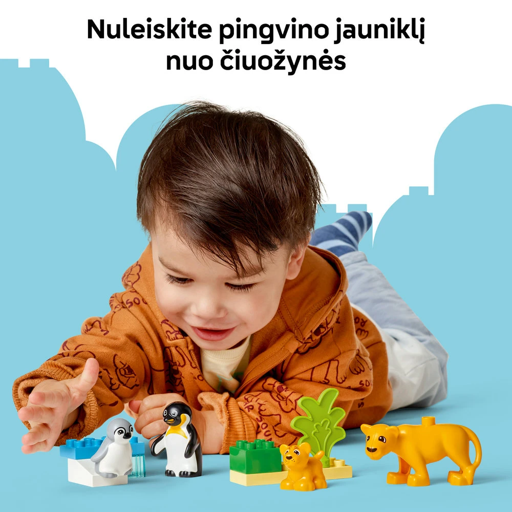 LEGO® DUPLO Laukinių gyvūnų šeimos: pingvinai ir liūtai (10442)