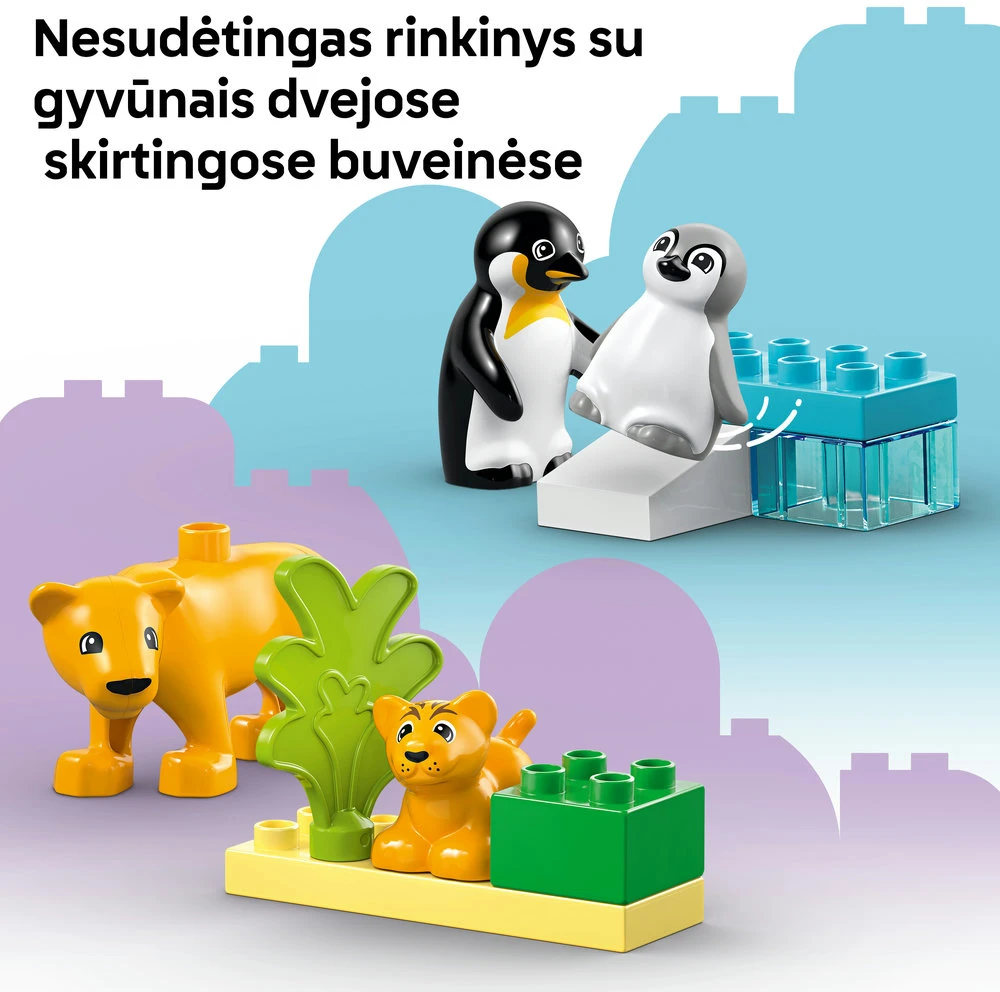 LEGO® DUPLO Laukinių gyvūnų šeimos: pingvinai ir liūtai (10442)