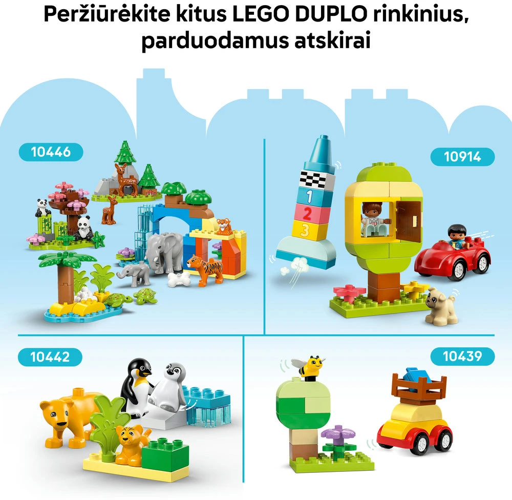 LEGO® DUPLO Žalia pagrindo plokštelė (10460)