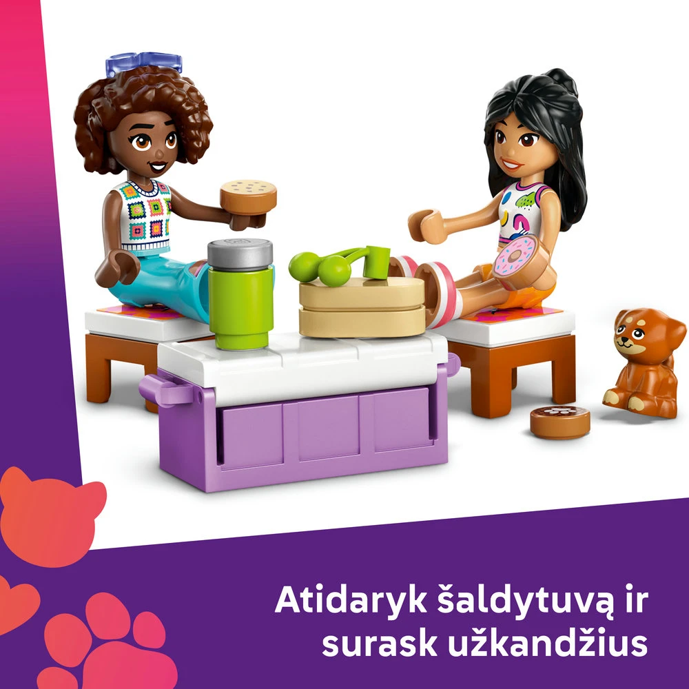 LEGO® Friends Draugių kelionė automobiliu Rinkinys 42659