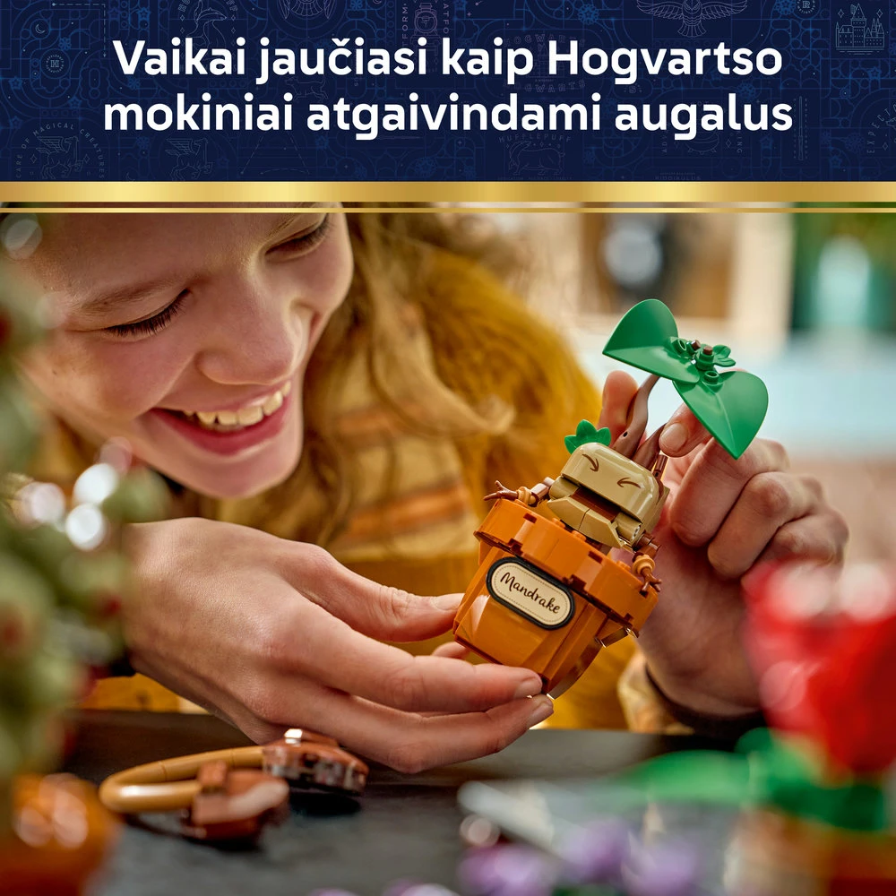 LEGO® Harry Potter™ Hogvartso herbalogijos augalai 76474