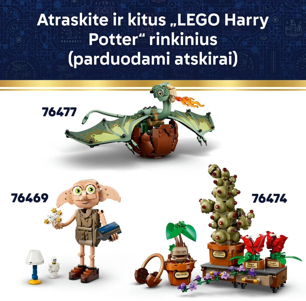 LEGO® Harry Potter™ Hogvartso koledžų herbas Žaislas 76462