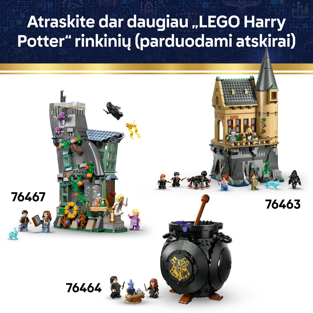 LEGO® Harry Potter™ Hogvartso pilis: Paskirstymo kepurės ceremonija 76460