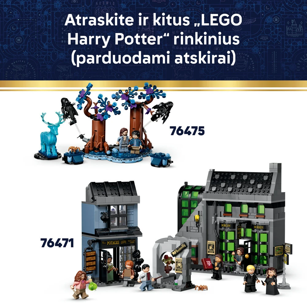 LEGO® Harry Potter™ Hogvartso pilis: rytinis sparnas 76473