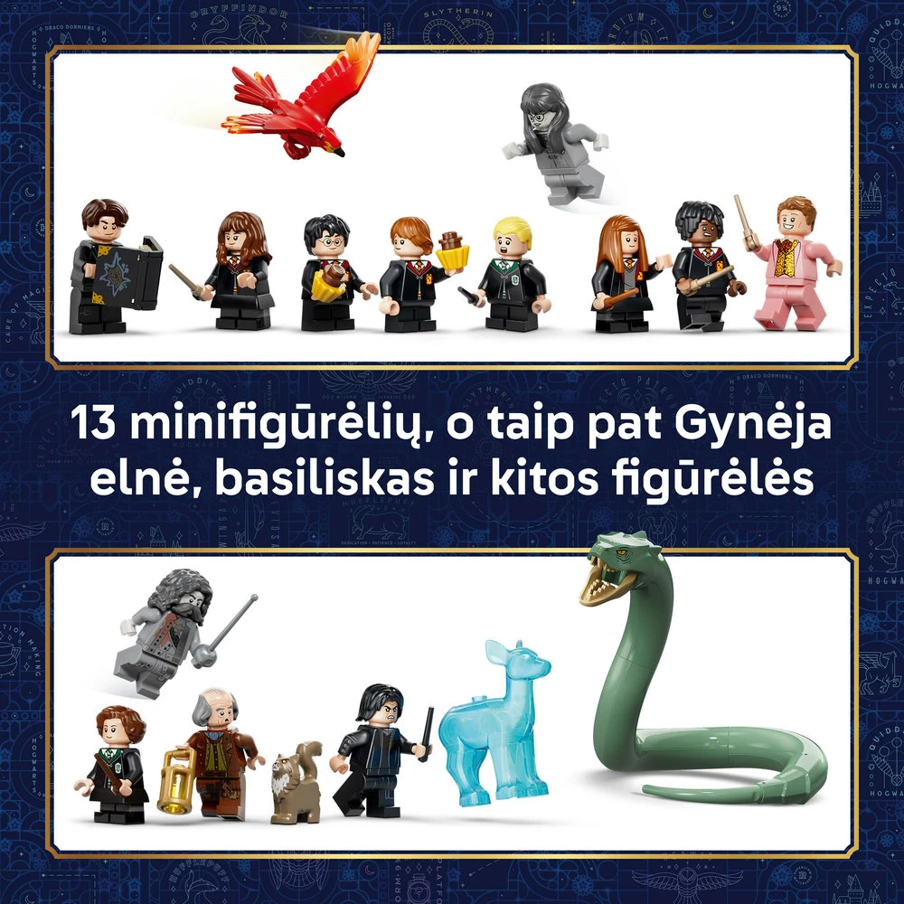 LEGO® Harry Potter™ Hogvartso pilis: rytinis sparnas 76473