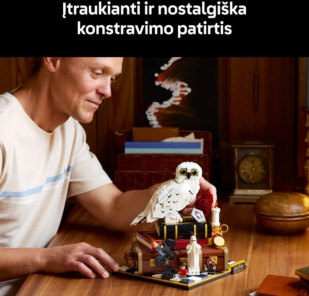 LEGO® Harry Potter™ Išminties akmuo – kolekcinis leidimas 76466