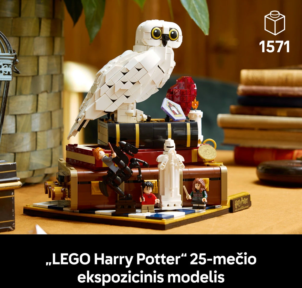 LEGO® Harry Potter™ Išminties akmuo – kolekcinis leidimas 76466