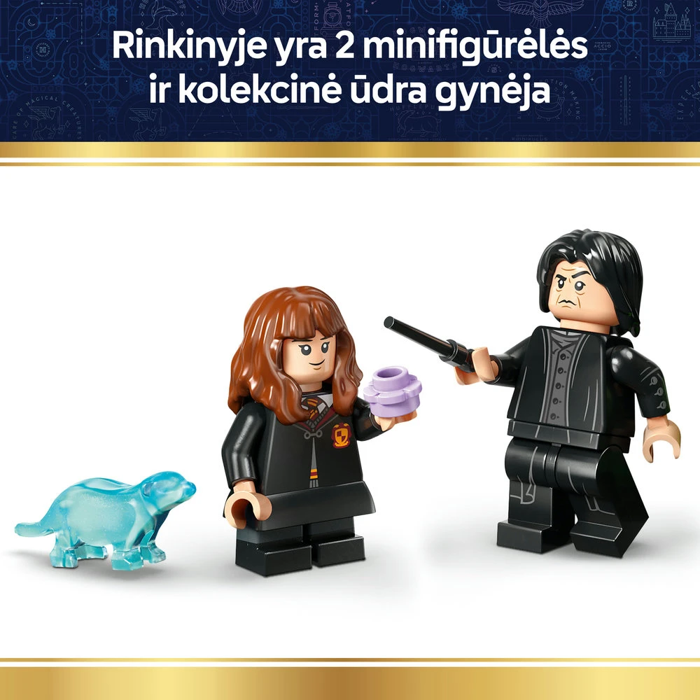 LEGO® Harry Potter™ Katilas: slapta eliskyrų klasė 76464