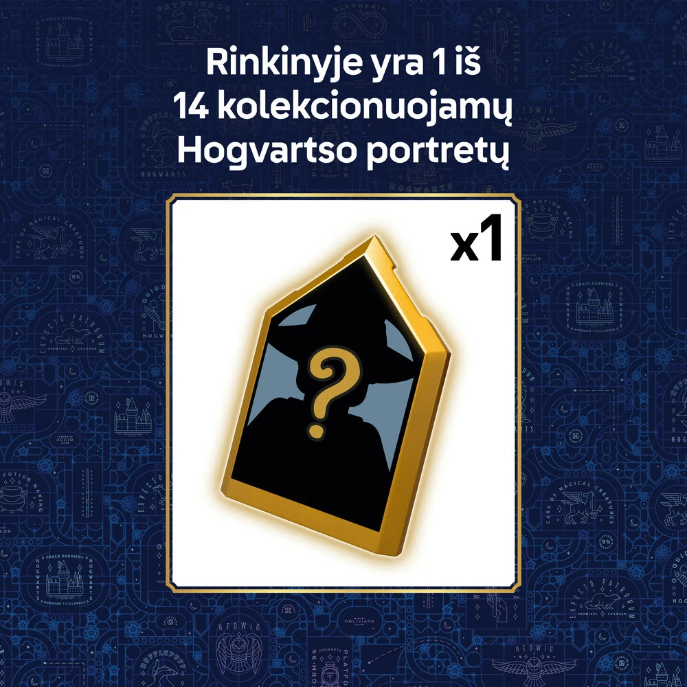 LEGO® Harry Potter™ Katilas: slapta eliskyrų klasė 76464