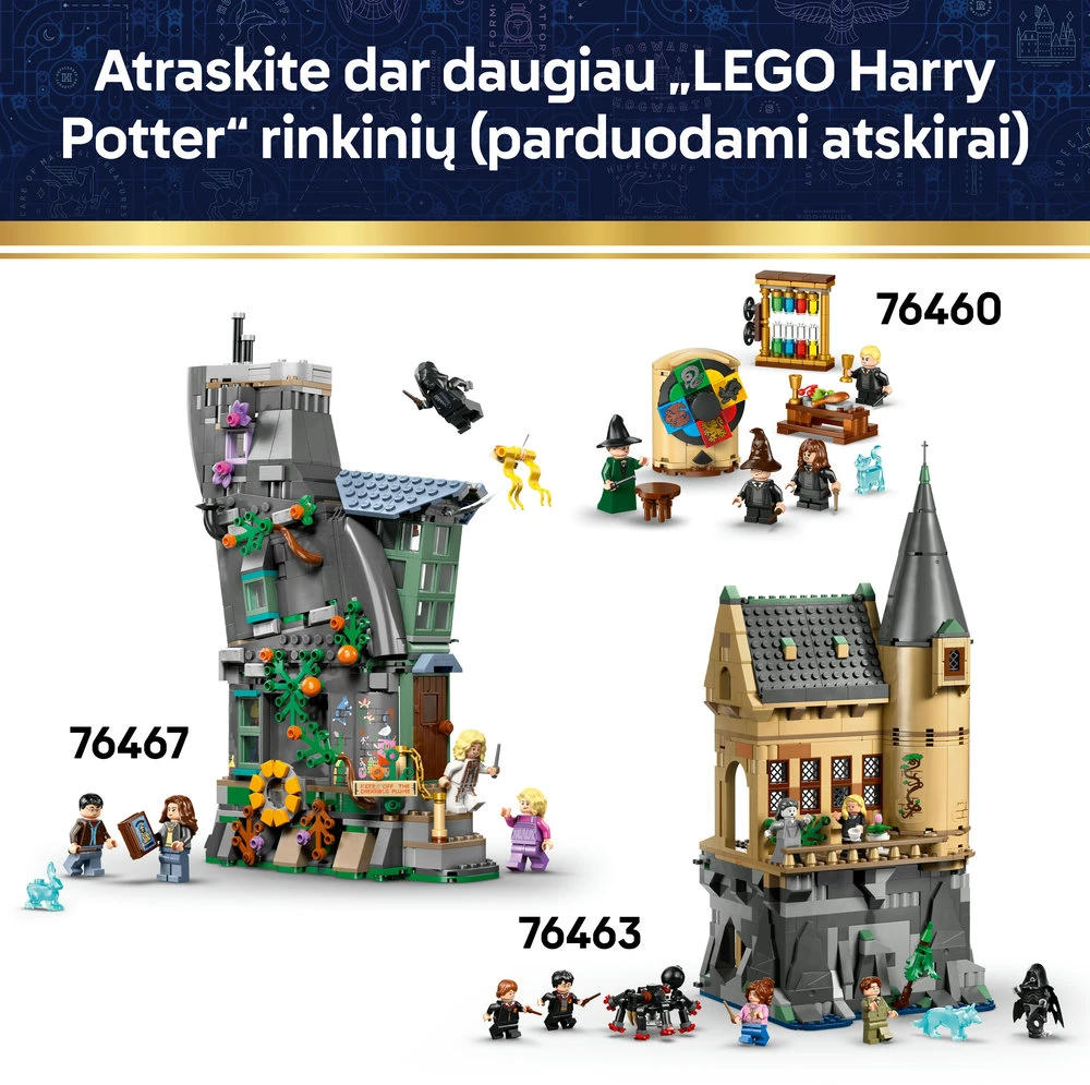 LEGO® Harry Potter™ Katilas: slapta eliskyrų klasė 76464