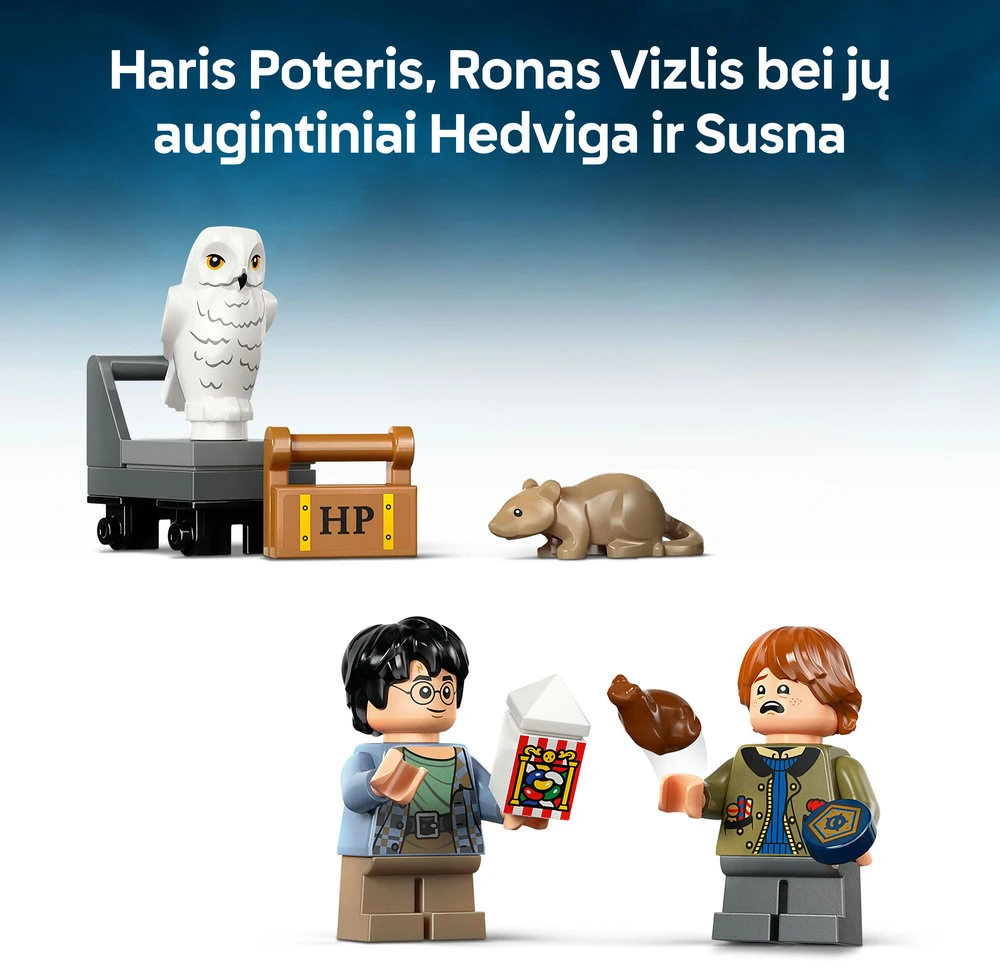 LEGO® Harry Potter™ Knygų lentynos dekoras: Hogvartso ekspresas 76450