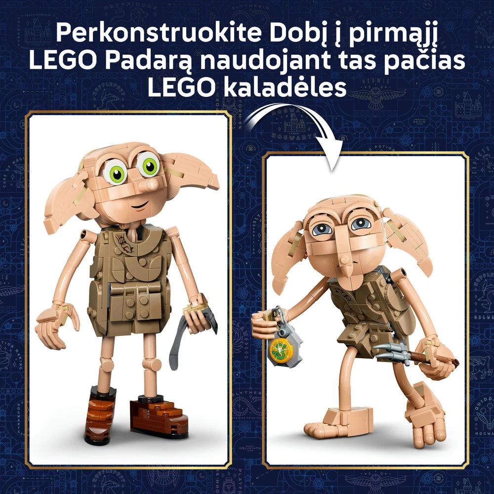 LEGO® Harry Potter™ Laisvasis elfas Dobis Žaislas 76469