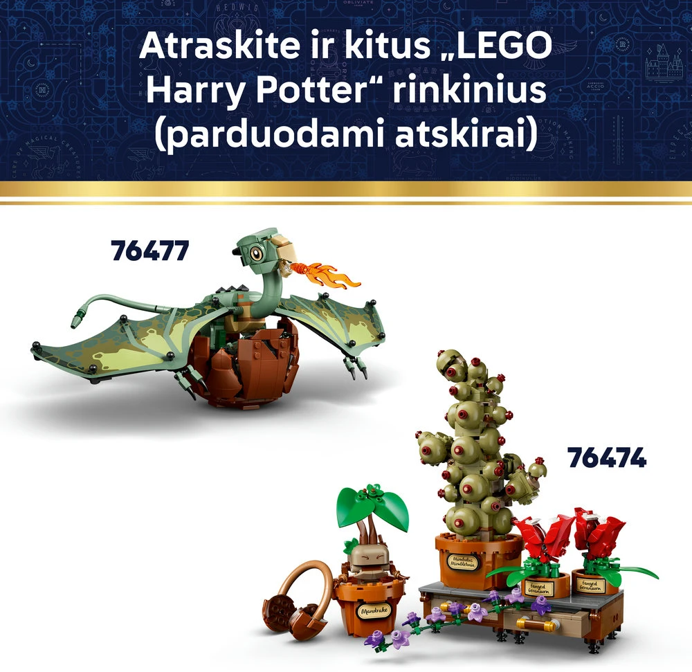 LEGO® Harry Potter™ Laisvasis elfas Dobis Žaislas 76469