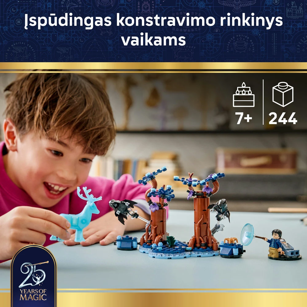 LEGO® Harry Potter™ Uždraustasis miškas: Expecto Patronum 76475