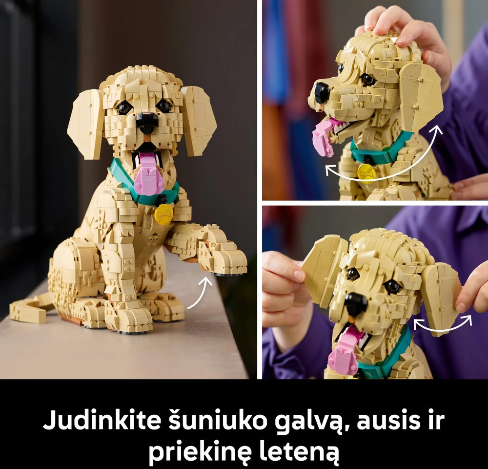 LEGO® Icons Auksaspalvių retriverių šuniukas Figūrėlė 11384
