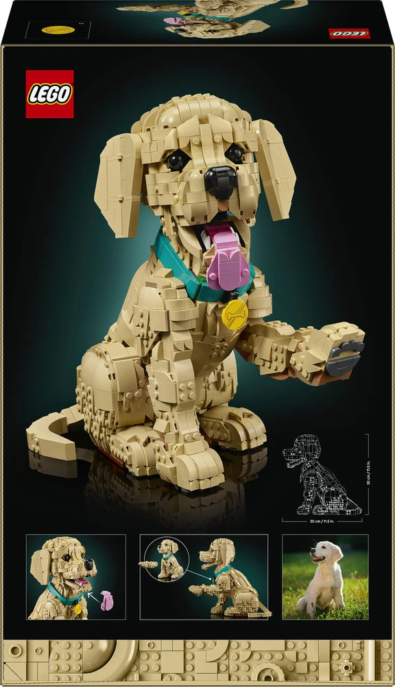 LEGO® Icons Auksaspalvių retriverių šuniukas Figūrėlė 11384
