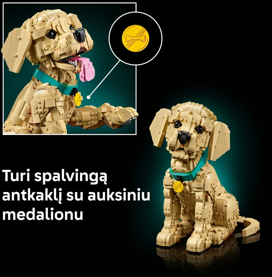 LEGO® Icons Auksaspalvių retriverių šuniukas Figūrėlė 11384