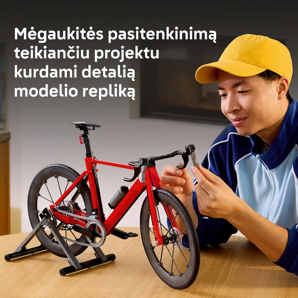 LEGO® Icons Plento dviratis Konstravimo rinkinys 11380