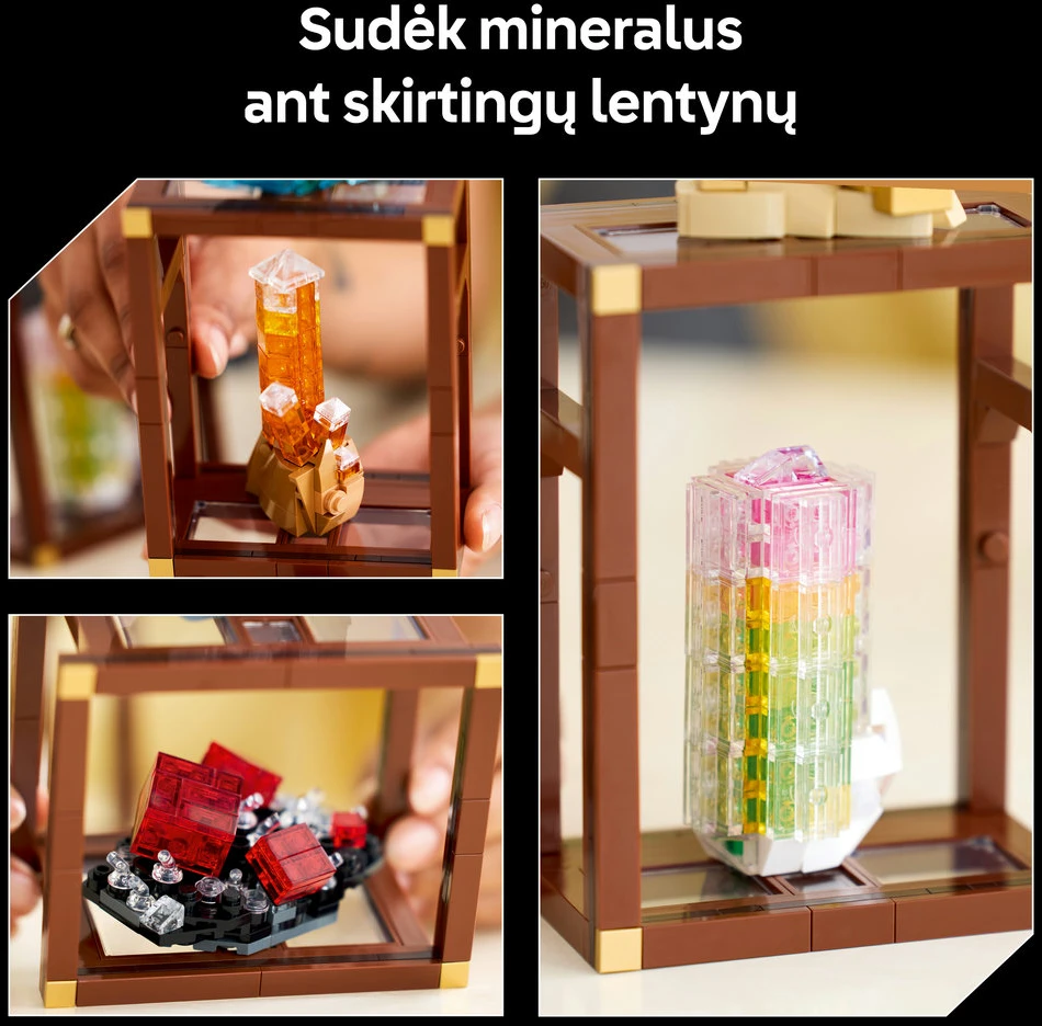 LEGO® Ideas Mineralų kolekcija, vitrina, dekoras 21362