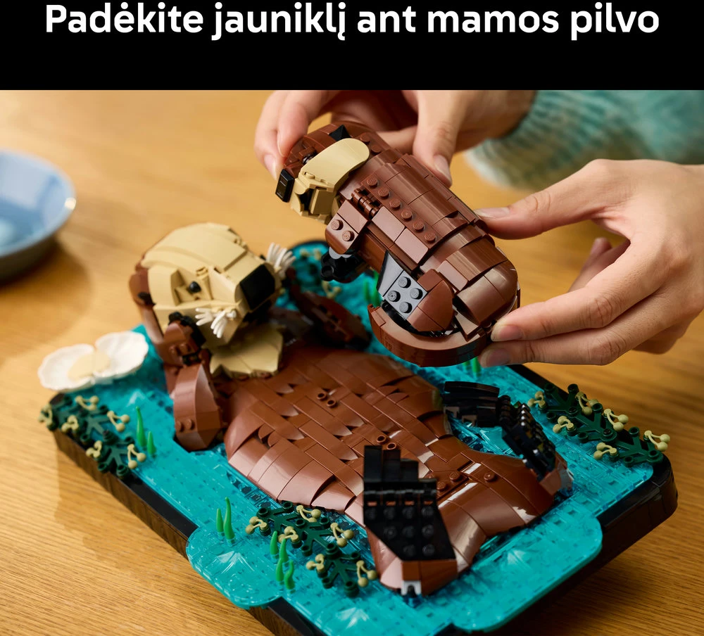 LEGO® Ideas Plūduriuojančios jūrinės ūdros, 21366