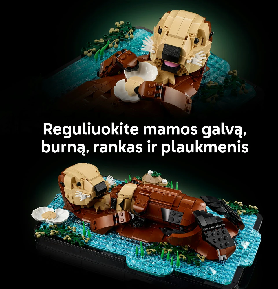 LEGO® Ideas Plūduriuojančios jūrinės ūdros, 21366