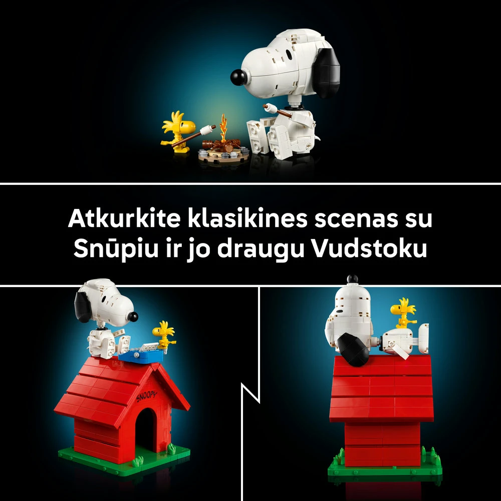 LEGO® Ideas Riešutėliai: Snūpio būda Rinkinys 21368