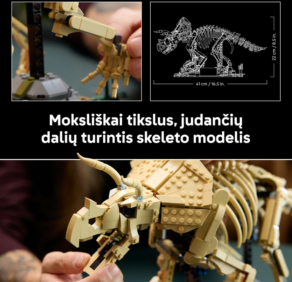 LEGO® Jurassic World Dinozaurų fosilijos: triceratopsas 77985