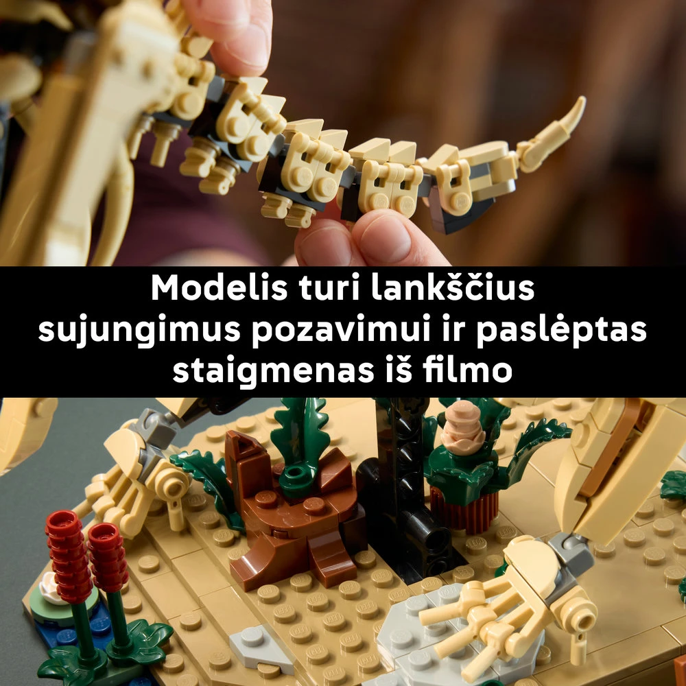 LEGO® Jurassic World Dinozaurų fosilijos: triceratopsas 77985